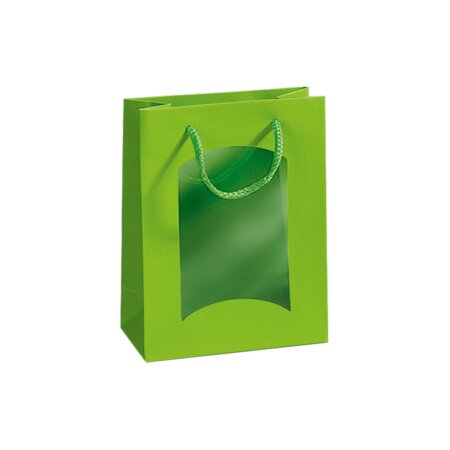 Geschenktüte mit Sichtfenster für 1 Flasche 170 x 185 x 220 mm (hellgrün)-1